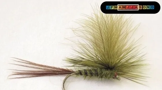 CDC Mayfly Grizzle (Olive) Parachute