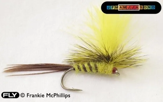 CDC Mayfly Grizzle (Yellow) Parachute