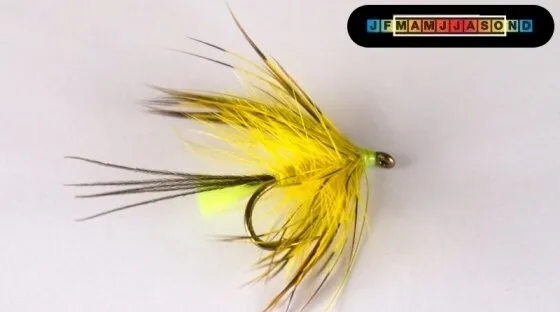 Fluro Tailed Yellow Partridge Mayfly