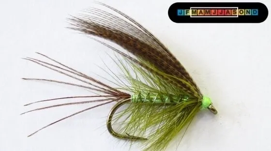 Pearly Dabbler Large Lake Wet Size 8
