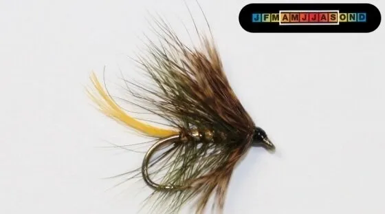Sooty Olive Deer Tail Bumble