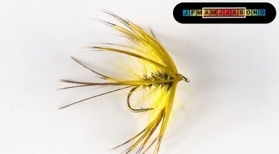 The Perfect Partridge Mayfly